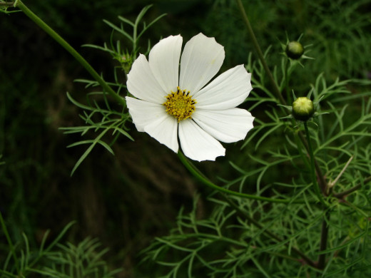 430241 (a): :1600x1200
